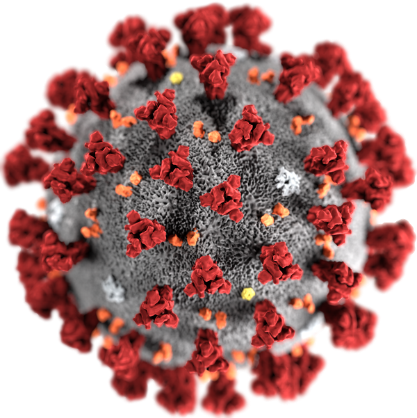 coronavirus